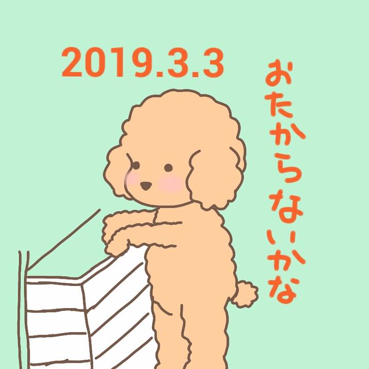282e2e81 b497 4cb0 89aa cacc912c17cb 1551567772324