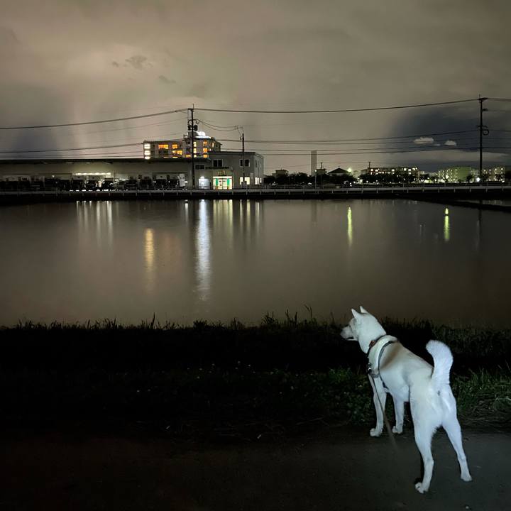 282e4c67 ea02 4280 a554 822fbcbf450a 1623502619793