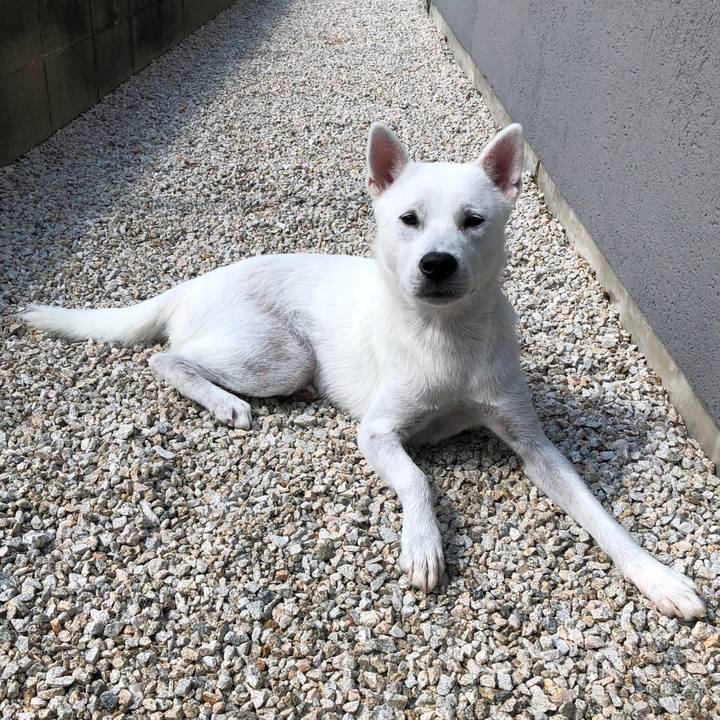 282e7609 2a26 4a3e b736 90cad8e67f91 1535977937204