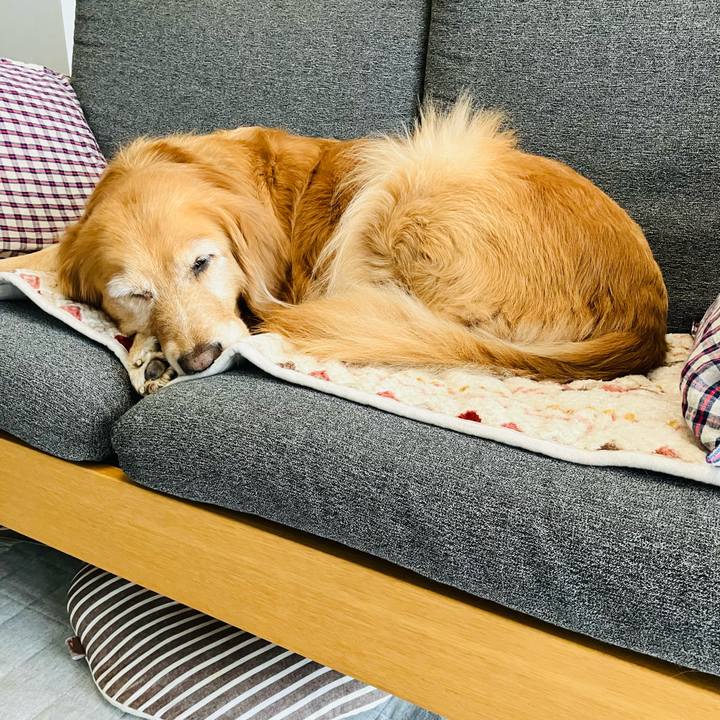 282e78ed cd5f 4f7d 897c b7681ee2a35a 1765524200377