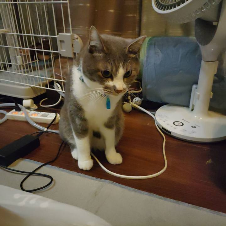 282e89ff ef54 495b ae55 574eceb74883 1675805254588