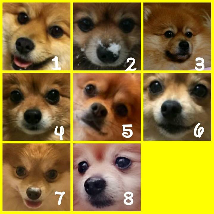 282ee387 2401 44e8 947c b3c9efdcb5a4 1521760242723