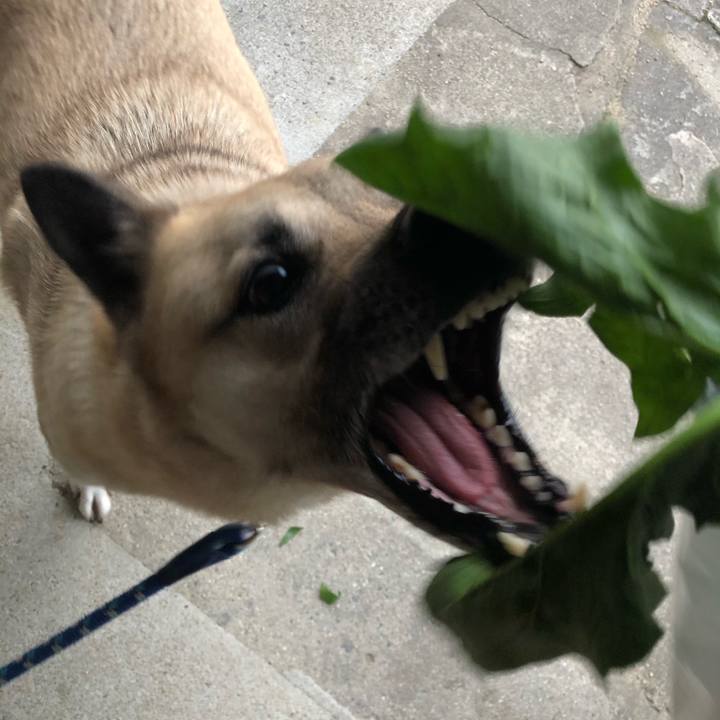 282f0d18 9ee6 4044 ae59 c7b3e3f41857 1615982172269