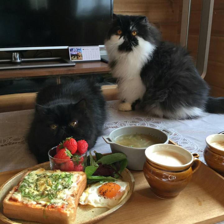 282f3311 c0c2 4dd0 aa13 fa1fc4fe5d74 1515376407262