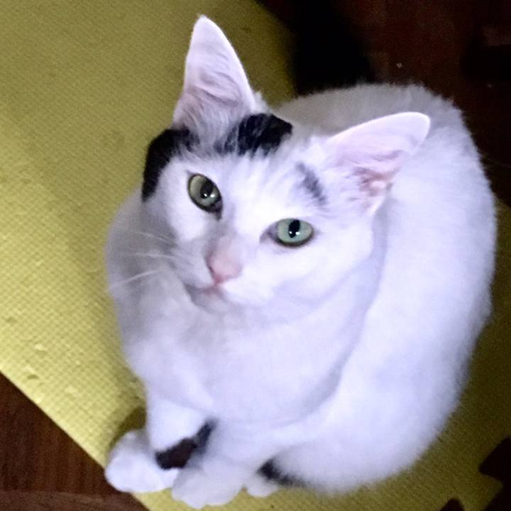 282f5cc4 dd4d 4175 9dee d1e505774a4a 1559529997452