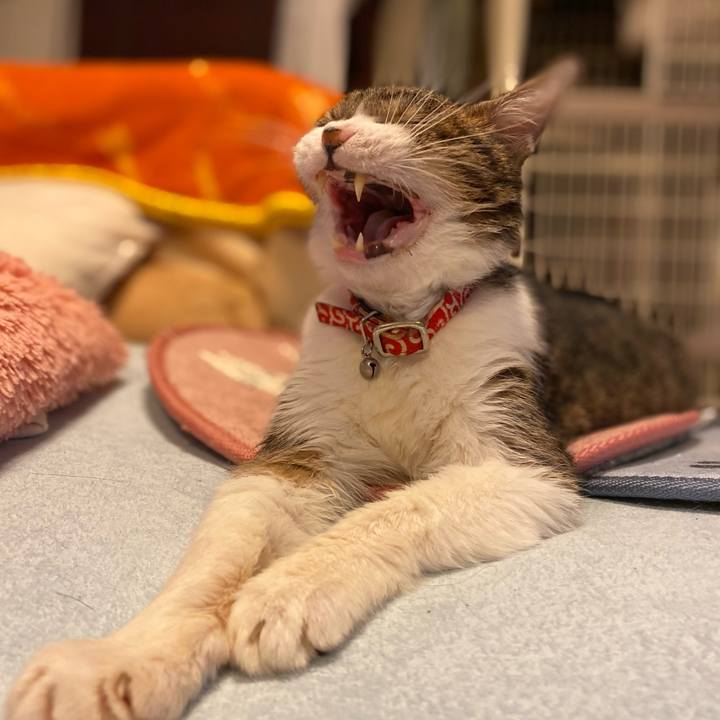 282f7e34 8351 4bfe 8a1f 51519a238c8d 1605024705173