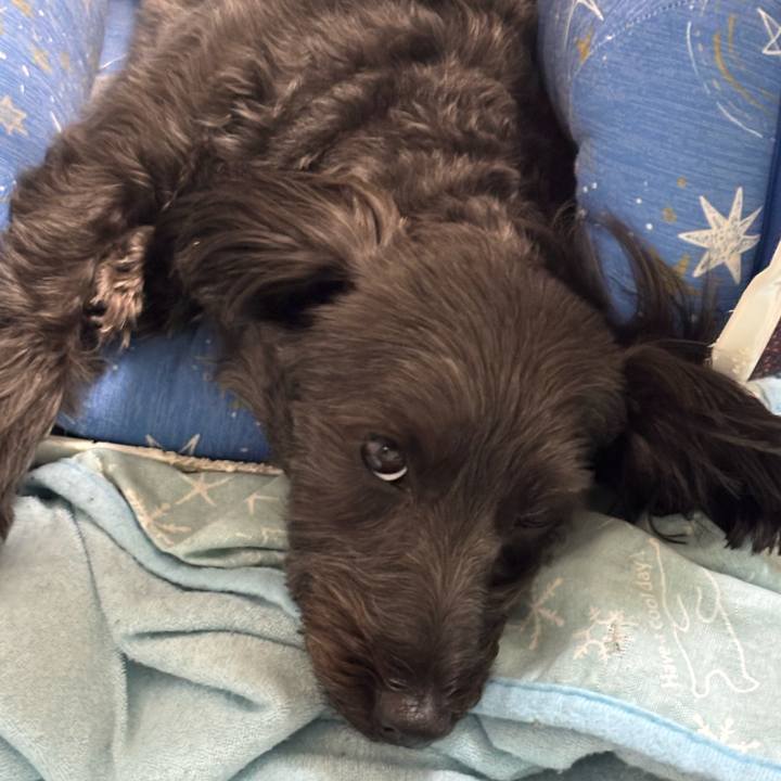 282fa86f 0050 4541 abdd 958a83802cd5 1755774693491