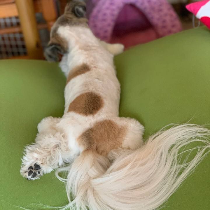 282fd58e 606b 440a a448 85f7fcc673df 1582965956914