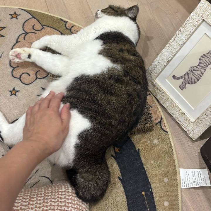 2830361f ff56 4ebb 9a44 222491f3dfba 1760396473624