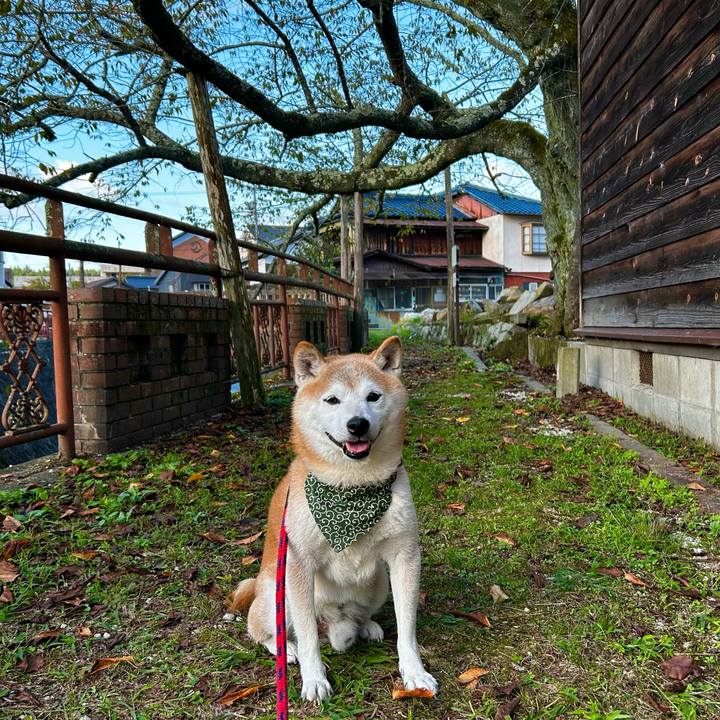 28308a03 90ba 41cb 8ad9 958c8fd93d2e 1760697418357