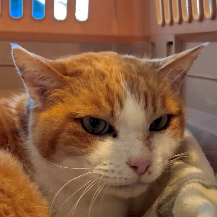 28308e6b 2b5e 4f13 a652 40708fdb194e 1735019433087