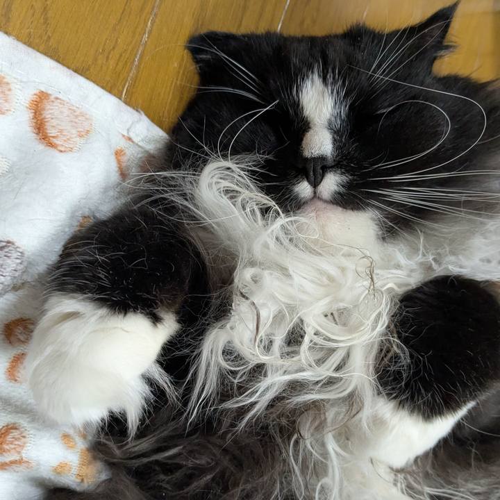 2830afd9 e25f 400b 91ee 0f066562f655 1767095293589