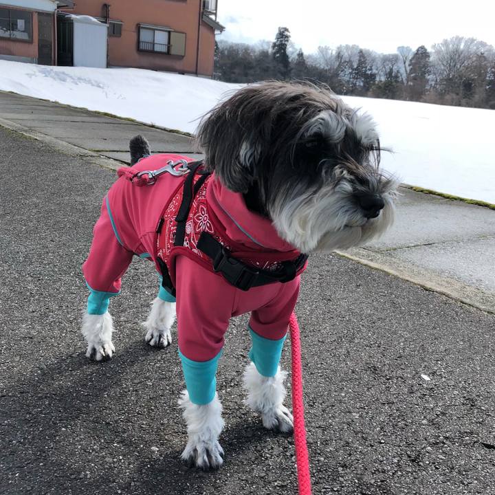 2830c4c5 6c1b 4f76 a731 320da438ca99 1518934993935