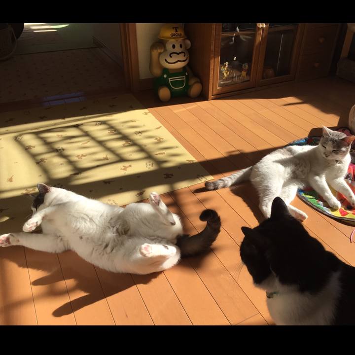 2830c89e ec2a 48e2 b59f 2f0dde8b4ce4 1542942024506