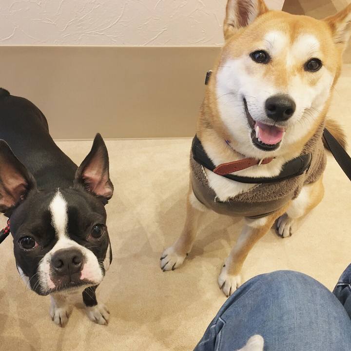 2830e1b6 d1f4 438a 96b3 17335df63a7b 1518976394513