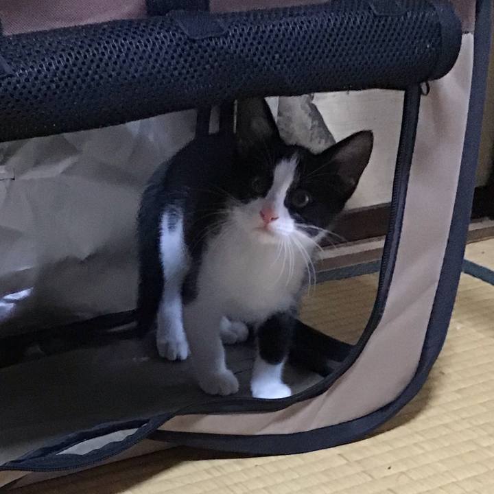 2830e289 c034 4af3 a636 247c0ce97a5d 1625218695933