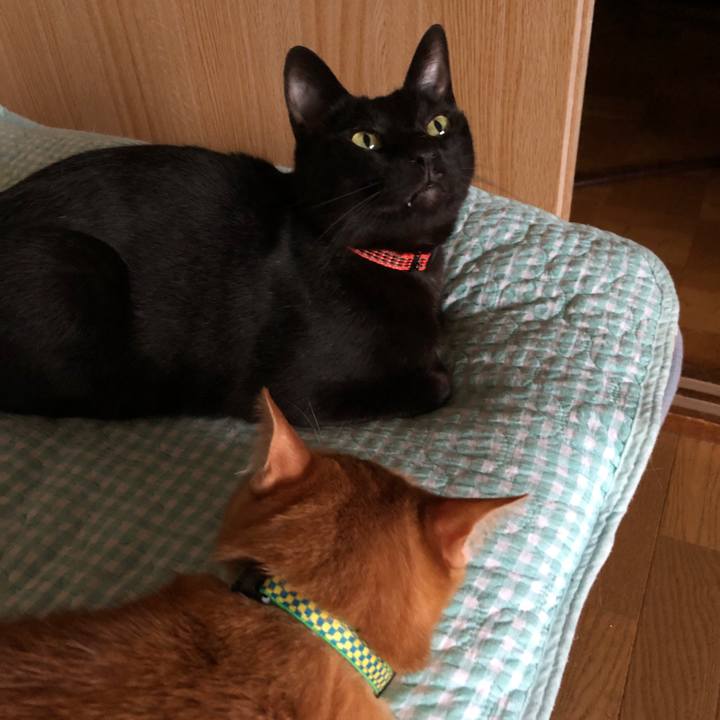 2830fda3 ab5f 47e2 a036 3c6d41f31d19 1724058068710