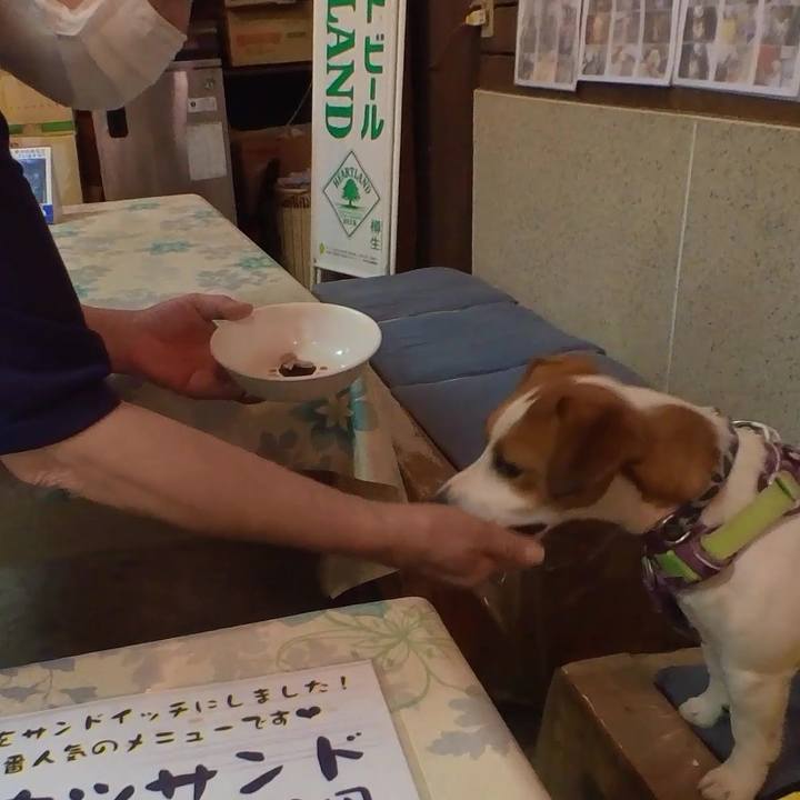 2830ff7b b83c 4e55 a16f bdbdb513aa1d 1653003385508