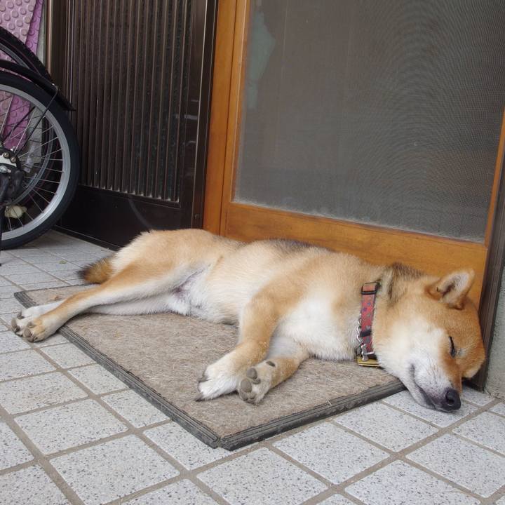 283113bf 786a 4dcb a280 ff65aaa27c5b 1598837883576