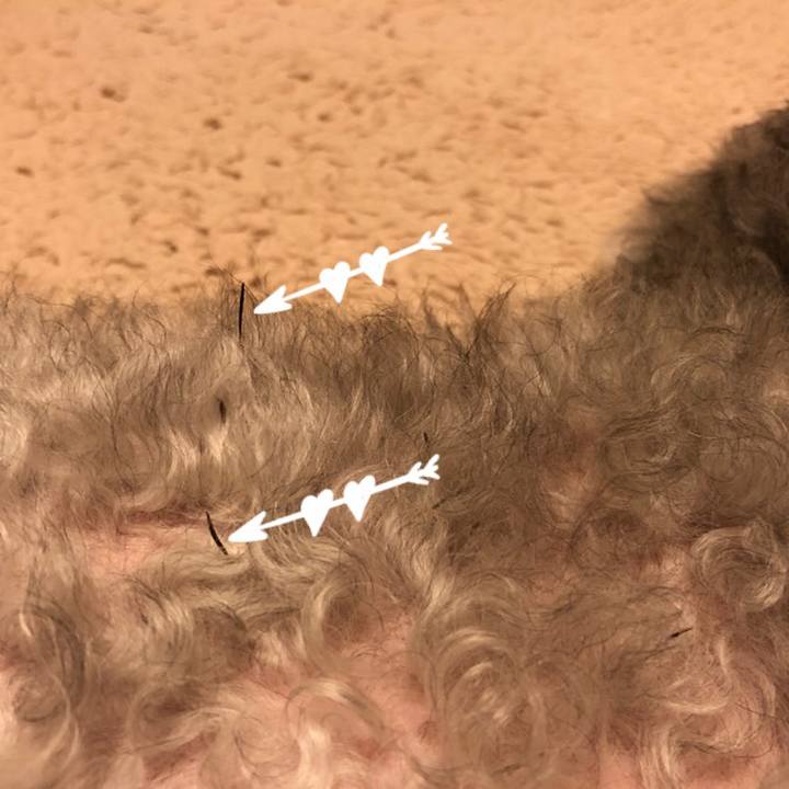 283127d9 8d44 4582 bde5 759bf51f8c2e 1574340161660