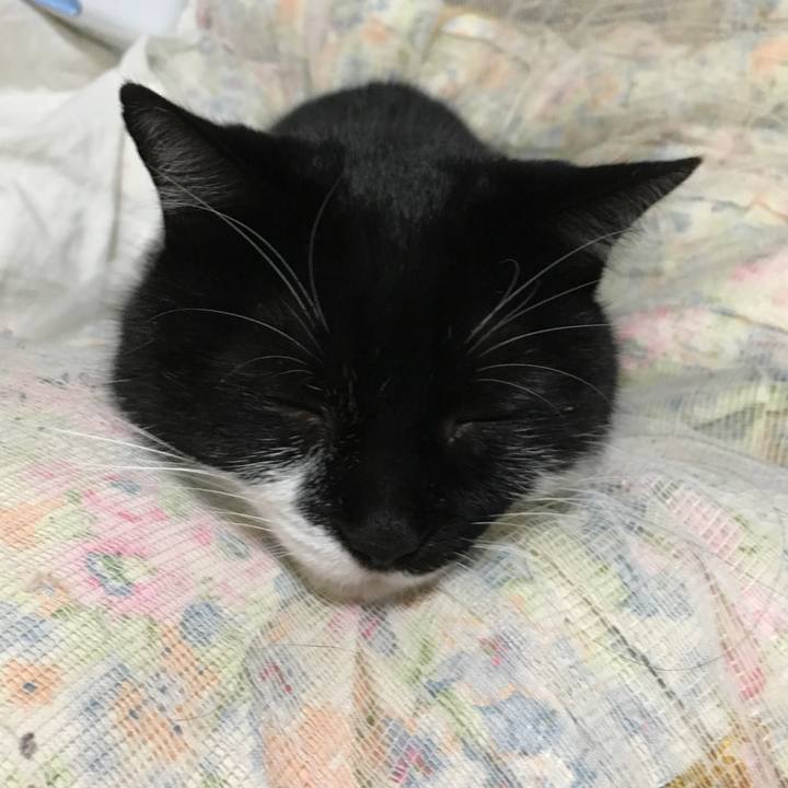 283129d1 60f1 470b 801a 982c2c385717 1577780675133