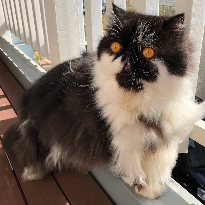 2831517e dfc7 4d3e 9a08 81962e75c5ad 1550801032887