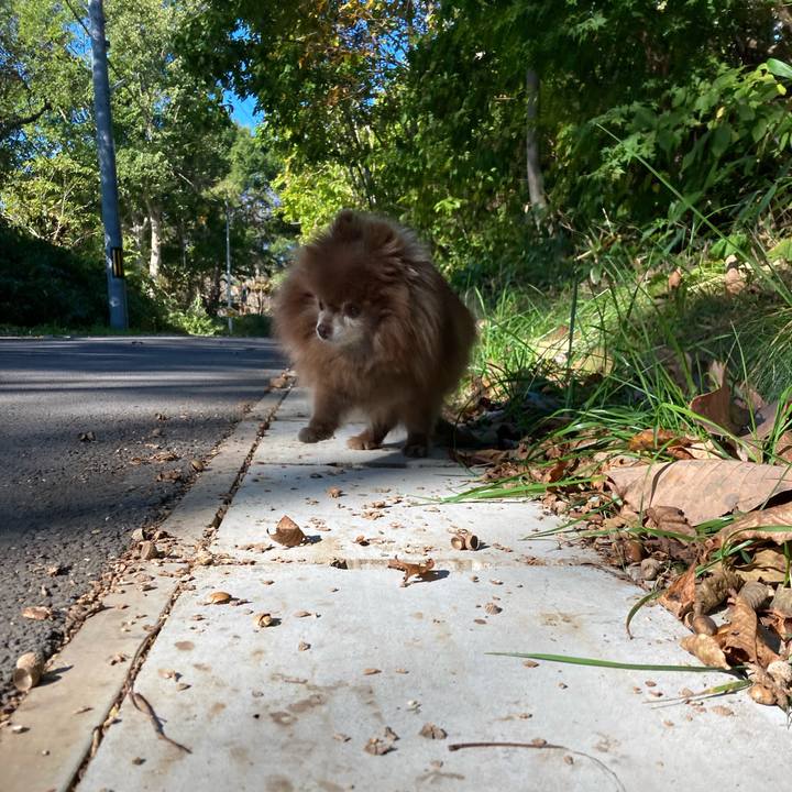 28319f81 1482 46e9 b936 2b5cbe5fee57 1728780214146