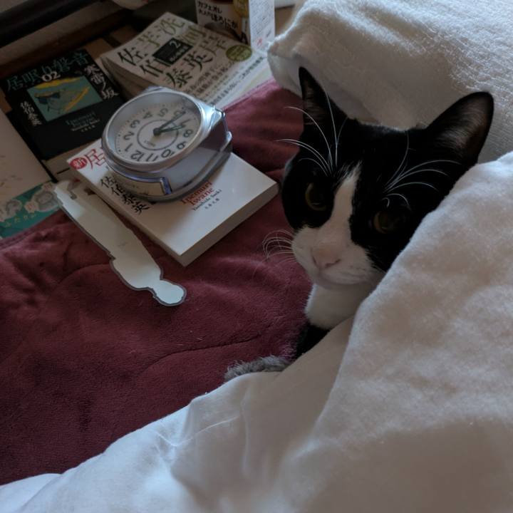 2831f454 2a43 49bc 9a70 3d06388c4508 1763027180264