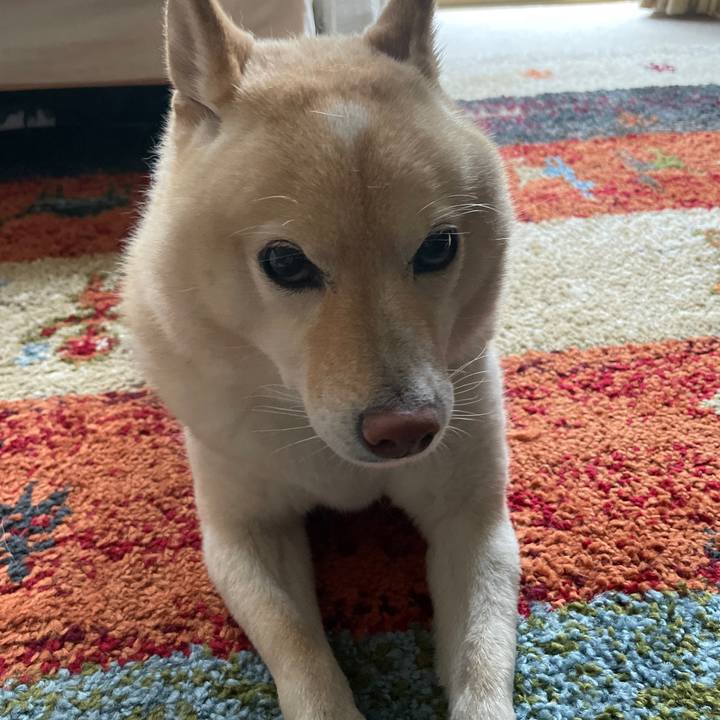 28324566 d143 4bf1 980d 0efeb136909d 1725151760267