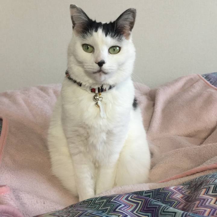 28327695 f288 426e 9f87 768768300e46 1516059482430