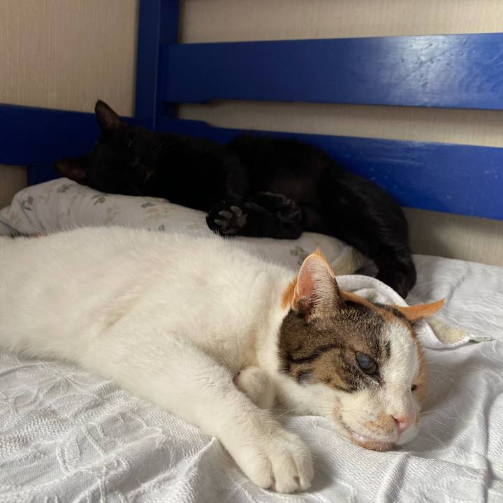 28327dd4 3dfa 48d8 9409 1751ee29622c 1696072318612