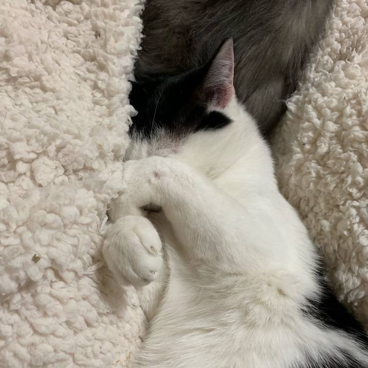 2832d6d9 301b 47e0 9ef0 aaee3bc82f30 1553834521711