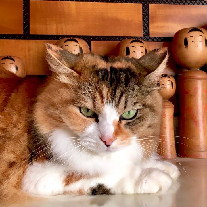 2832db5a bf40 44e5 bf86 8d1a4cb935b5 1574143988016