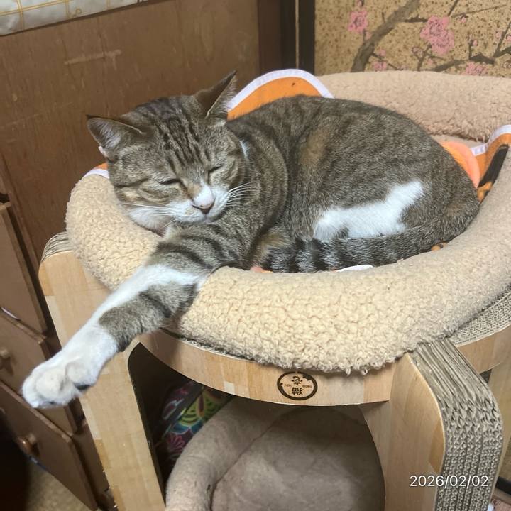 2832dd85 a1e9 49b5 a85a 8d433af99543 1769983226086