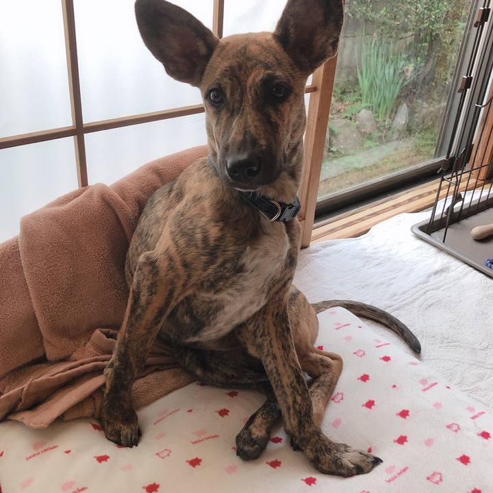 2832e48b 75ef 4272 ba99 126f4fe3ee33 1575041079253