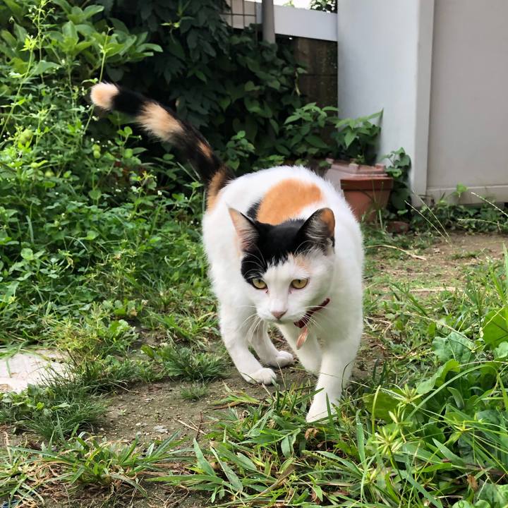 283322ba 717c 483f b0da b93b33e4cf6f 1631483794304