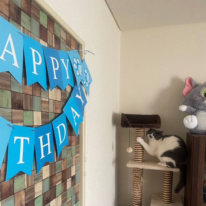 28334074 b17e 4ae8 a19a 65298776f48d 1703139053840