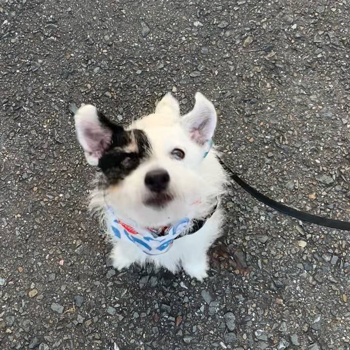 283344bc c439 4433 b277 18b41fce020f 1723589911297