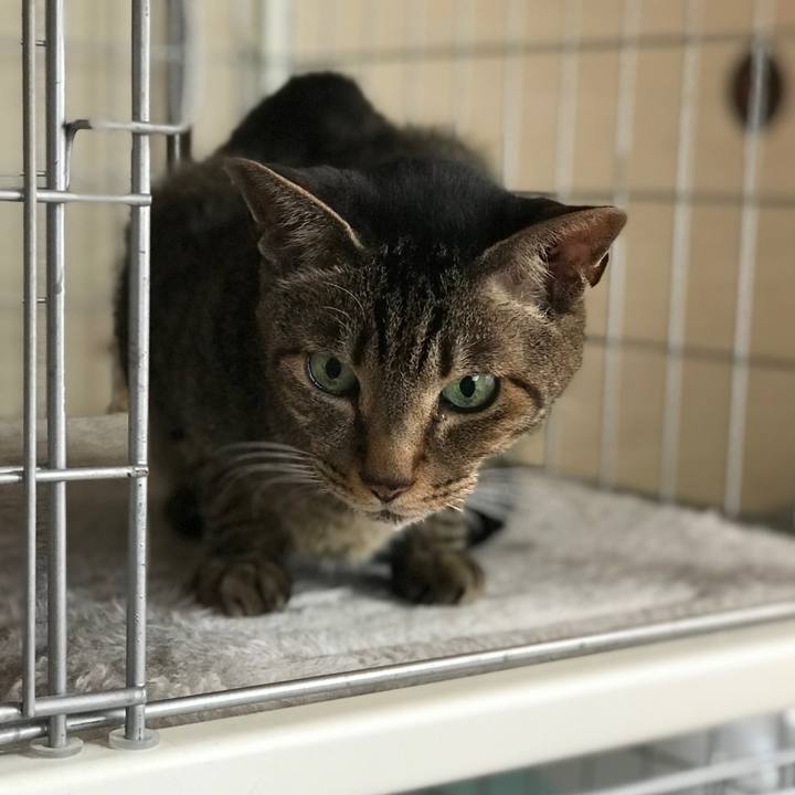 2833485d 894e 4987 b352 88588ae233b3 1528333929654