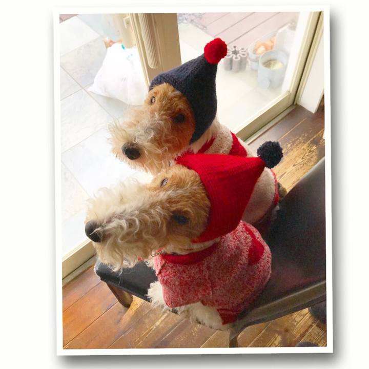 2833d9d7 0de6 4f60 a781 3f3e0e6a6118 1511358527566