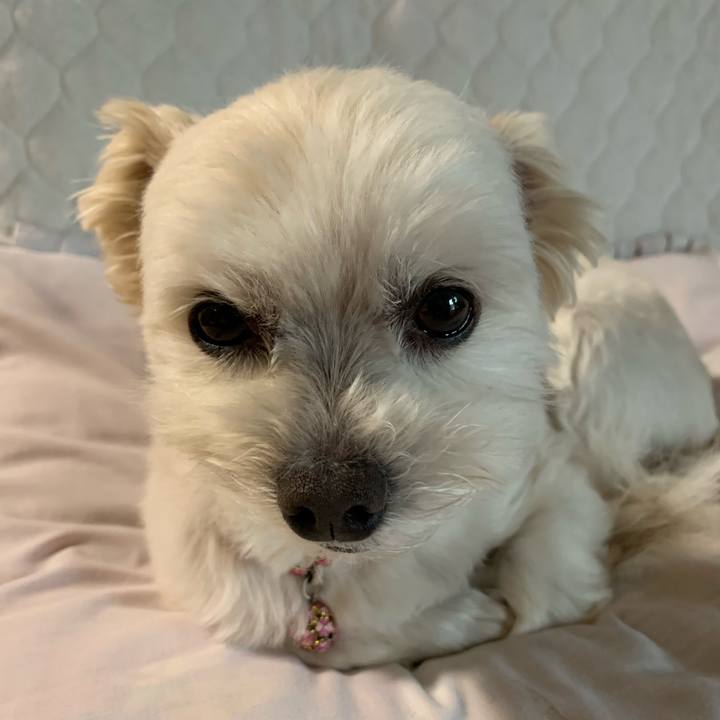 2833daf5 fb15 49a0 9973 c13d3122eaec 1649231889381