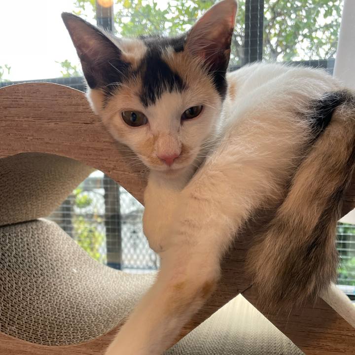 2833f4f4 a3b5 4e2a b3ad f3a81ef77be3 1663649269148