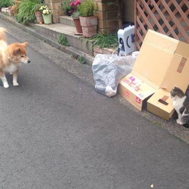 283409bf 5608 4df8 b439 b4946c5a2e11 1510216501103