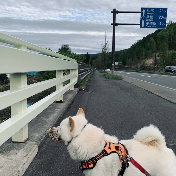 28346f4b c596 4a5c 8e94 409a1acfe3e6 1621246363123