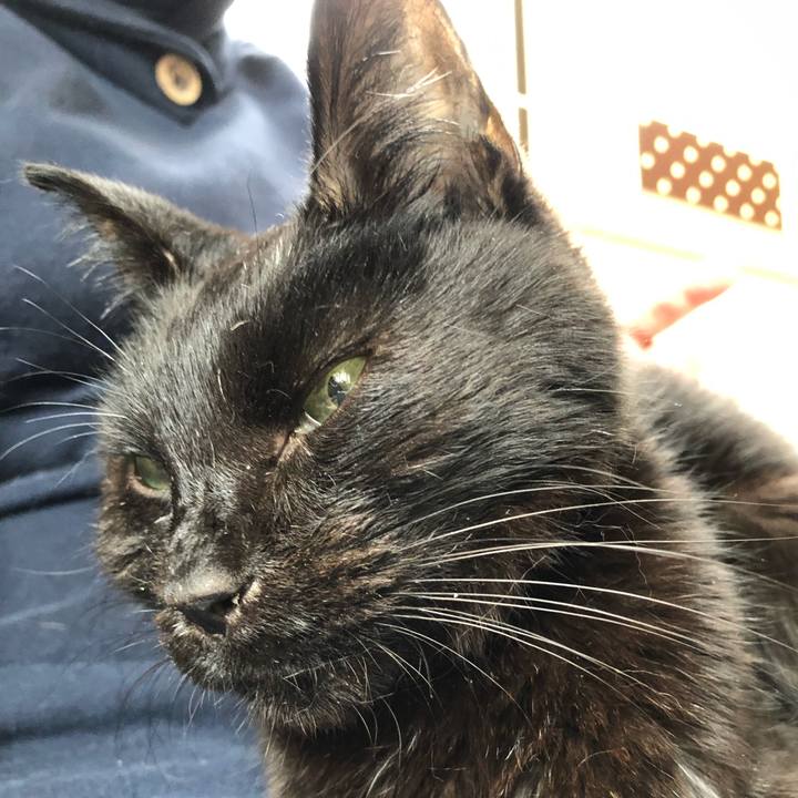 28347919 8356 44c5 a21c 3340be9e7c7d 1557896801633