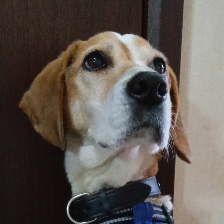 28347d73 7abd 4ebb b03d 87d952bdf44c 1746090729137