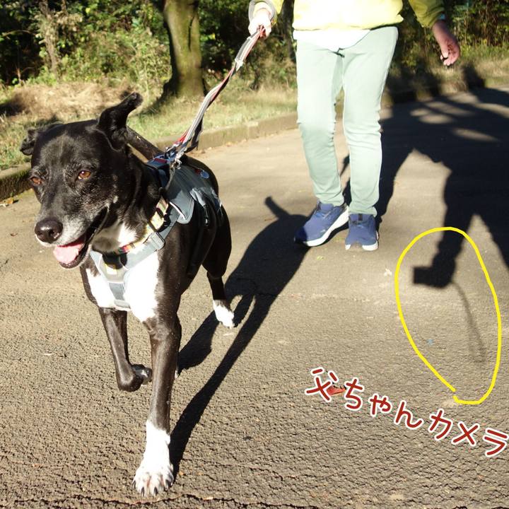 2834926c a173 4a3f a879 f8870a583dcc 1730937544885