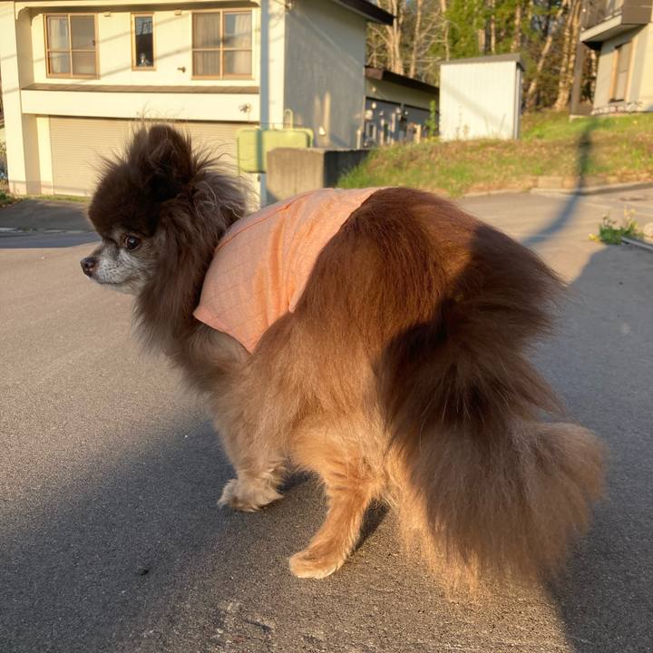 2834aa47 a59b 40ca b6ed 5e6b19e9c989 1714681945197