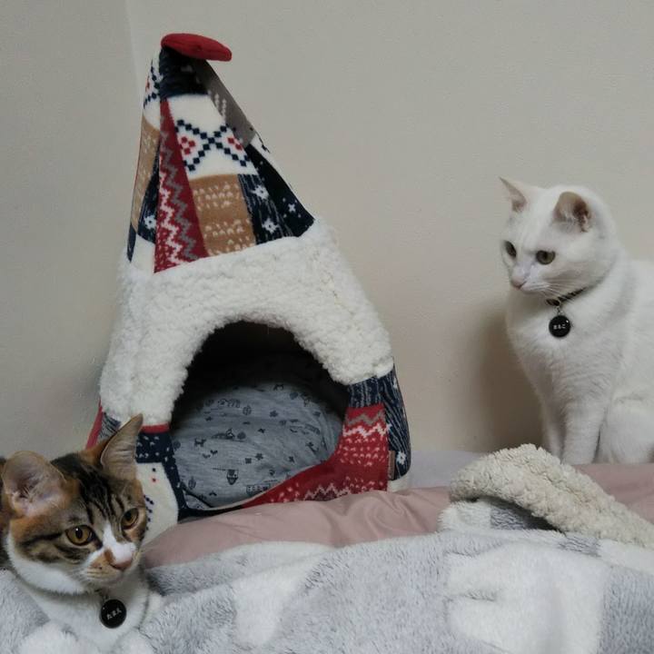 2834ca7d 27bc 49d4 8210 19028e346df3 1640473067815