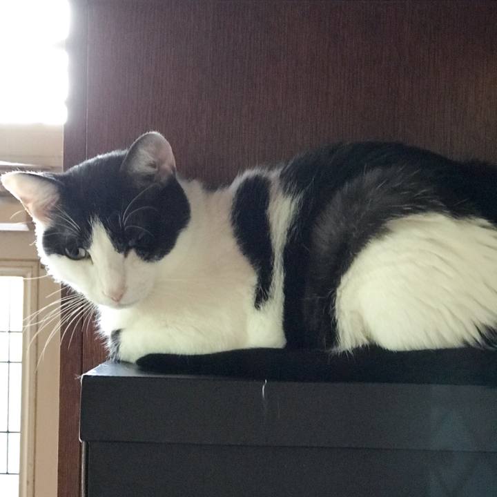 2834e64c 9fc8 455e bf6b 6e2beaf7c091 1534382930427